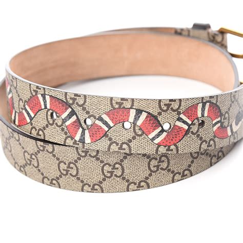 gucci womens belt with snake|gucci kingsnake print wallet.